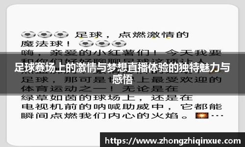 足球赛场上的激情与梦想直播体验的独特魅力与感悟
