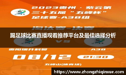 踢足球比赛直播观看推荐平台及最佳选择分析