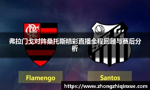 弗拉门戈对阵桑托斯精彩直播全程回顾与赛后分析